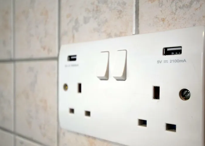 Violet Dusk Center Flat *